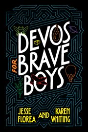 Devos for brave boys cover image