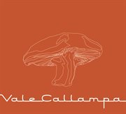 Vale callampa cover image