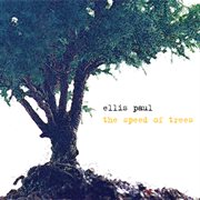 The speed of trees cover image