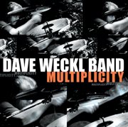 Multiplicity cover image