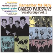 Remember me baby: cameo parkway vocal groups vol. 1 cover image