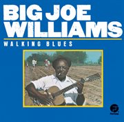 Walking blues cover image