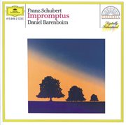 Schubert: impromptus d935 & d899 cover image