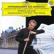 Flute concertos cover image