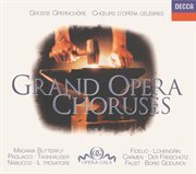 Beethoven / bellini / bizet / verdi etc.: great opera choruses cover image
