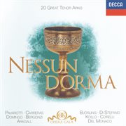 20 great tenor arias - "nessun dorma" - bizet / donizetti / puccini / verdi etc cover image
