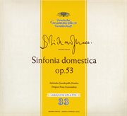 Strauss: sinfonia domestica / witt: symphony in c cover image