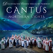 Northern lights cover image