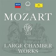 Mozart 225 - large chamber works cover image