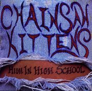 High in high school cover image