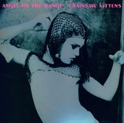 Angel on the range cover image
