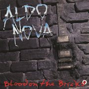 Blood on the bricks cover image