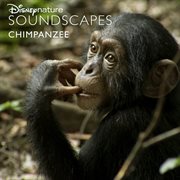 Disneynature soundscapes: chimpanzee cover image