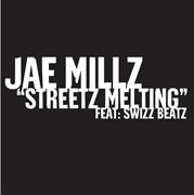 Streetz melting f/ swizz beatz cover image