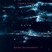 Ylir cover image