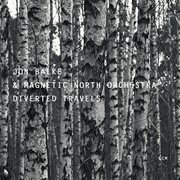 Diverted travels cover image