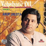 Vehshate dil cover image