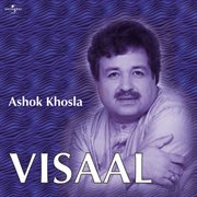 Visaal cover image