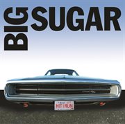 Hit and run : the best of Big Sugar cover image
