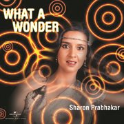What a wonder cover image