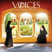 Voices: chant from avignon cover image