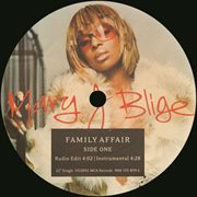 Family affair (remixes) cover image