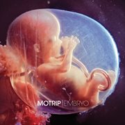 Embryo cover image