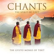 Chants - the spirit of tibet (deluxe) cover image