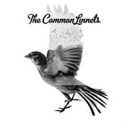 The common linnets cover image