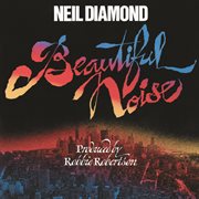 Beautiful noise cover image