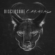 Caracal cover image