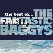 The best of... the fantastic baggys cover image