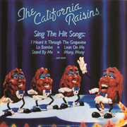 Sing the hit songs cover image