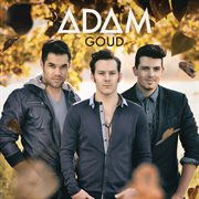 Goud cover image