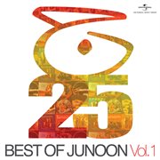 Best of junoon (vol. 1) cover image
