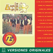 12 éxitos instrumentales 12 éxitos instrumentales