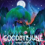Magic valley cover image