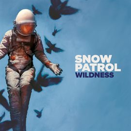 Cover image for Wildness (Deluxe)