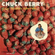 One dozen berry's cover image