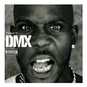 The best of DMX cover image