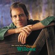 The very best of david wilcox cover image