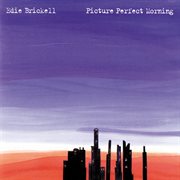 Picture perfect morning cover image