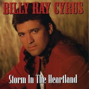Storm in the heartland cover image