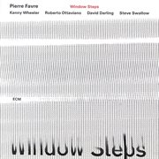 Window steps cover image