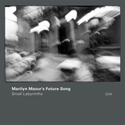 Small labyrinths cover image