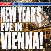 New year's eve in vienna cover image
