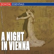 A night in vienna cover image