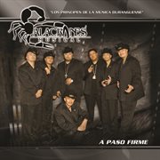 A paso firme cover image