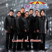 Llego el amor cover image