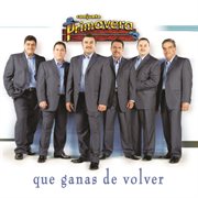 Que ganas de volver cover image